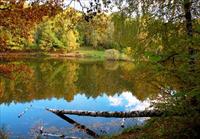 Những bài hát Nga quen thuộc với người Việt