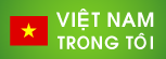 Ca nhạc VIỆT NAM TRONG TÔI