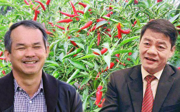 Tan mộng tỷ phú USD, Bầu Đức mơ người trồng chuối hàng đầu châu Á