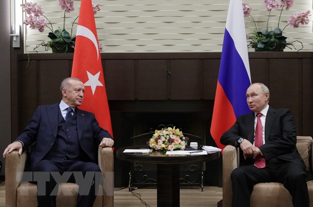 LHQ, Thổ Nhĩ Kỳ cân nhắc đàm phán với Nga về thỏa thuận ngũ cốc
