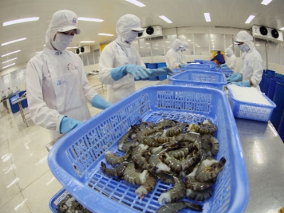 Mỹ công nhận tôm Việt Nam không bán phá giá