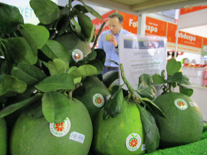 Trái bưởi tươi Việt Nam xuất khẩu sang thị trường Nga tăng mạnh