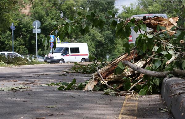 Moskva:  Gió to làm gãy hàng chục cây cối, khiến 6 người bị thương