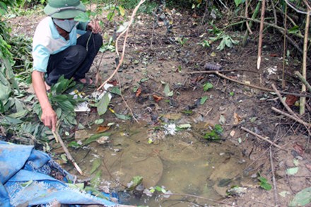 Tội ác đằng sau tội ác chôn thuốc trừ sâu