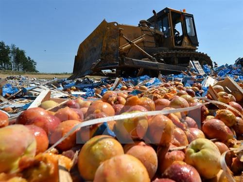 Nga áp thêm lệnh cấm nhập khẩu thực phẩm với 7 quốc gia