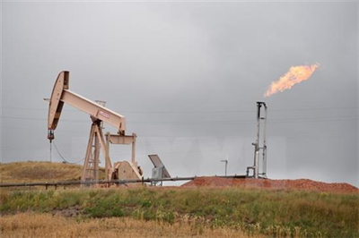 OPEC ''tiến thoái lưỡng nan'' sau chiến thắng của ông Donald Trump