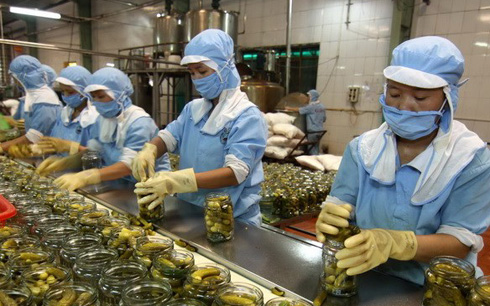 Việt Nam sẽ mở rộng thị phần xuất khẩu sang Nga