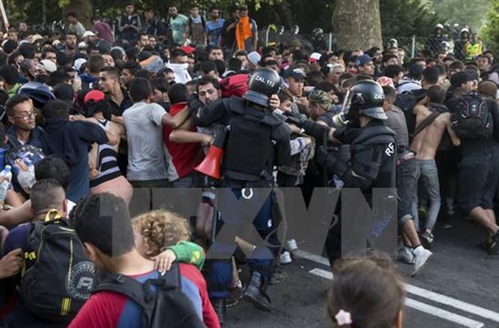 EU triệu tập cuộc họp thượng đỉnh khẩn cấp về khủng hoảng di cư