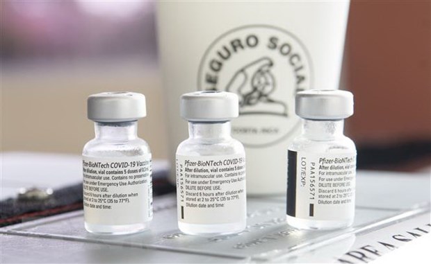 Pfizer tạm thời giảm cung cấp vắcxin phòng COVID-19 tới châu Âu