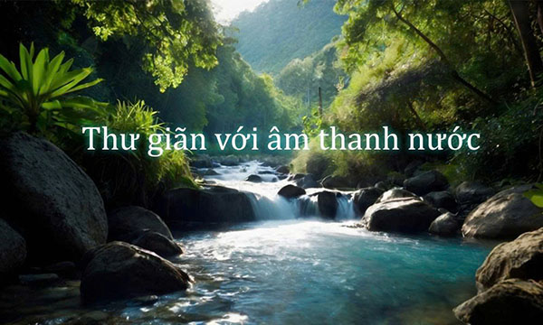 Album nhạc không lời: Liệu pháp chữa lành từ thiên nhiên