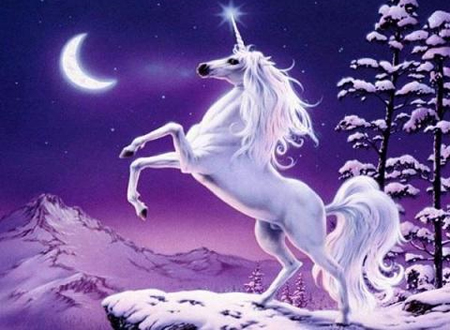 Tử vi tuổi Ngọ năm Quý Tỵ