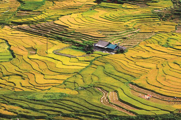 [Photo] Việt Nam vẻ đẹp bất tận