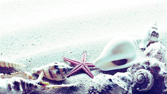 Thử vi ngày thứ 7 08/07