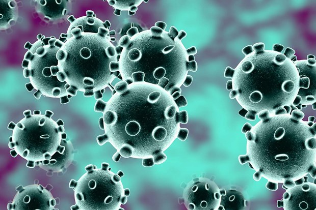 WHO xác nhận khả năng lây virus SARS-CoV-2 từ người sang động vật