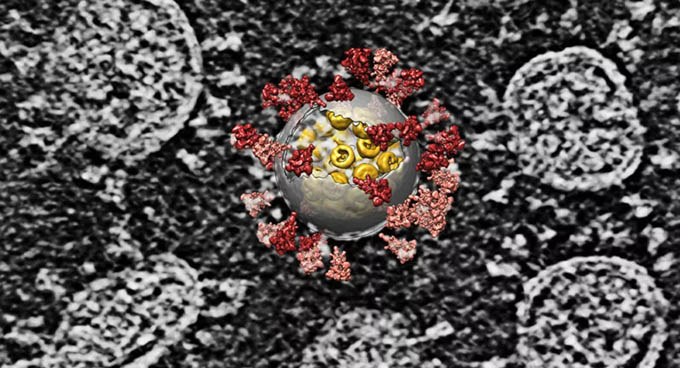 Các nhà khoa học tìm ra cách tiêu diệt coronavirus trong giây phút