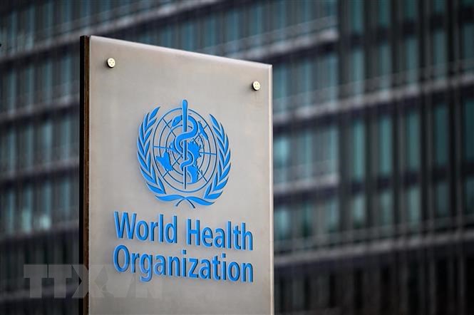 WHO ban bố tình trạng y tế khẩn cấp toàn cầu vì bệnh đậu mùa khỉ