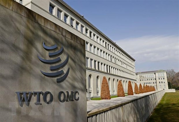 Khai mạc Hội nghị cấp Bộ trưởng lần thứ 12 của WTO tại Thụy Sĩ