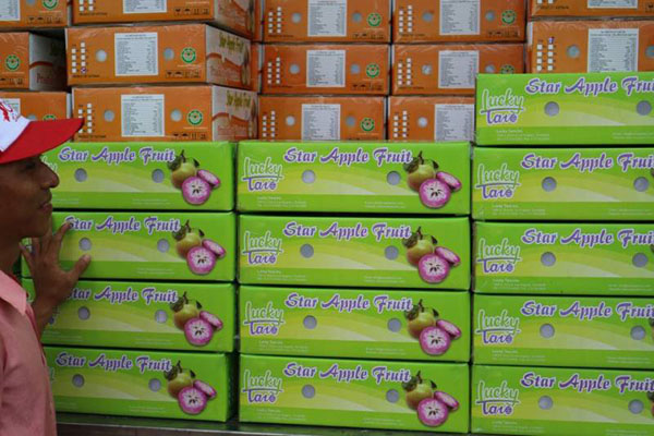 Hối hả xuất hàng sang Mỹ