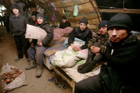 Moskva:  FMS sẽ trả lời thông tin khiếu nại về người di cư do người dân cung cấp