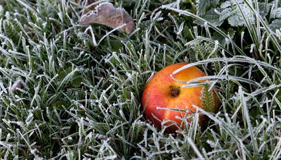 Moskva giá lạnh, nhiệt độ không khí có nơi hạ đến -11 độ C