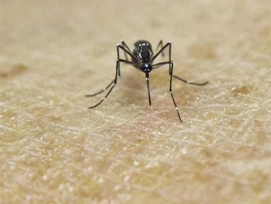 Mỹ đã ghi nhận trường hợp tử vong đầu tiên do virus Zika