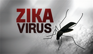 Virus Zika tấn công gần 70 quốc gia, Bộ Y tế họp khẩn